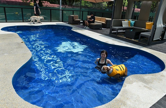 ve may bay di singapore tu ha hoi