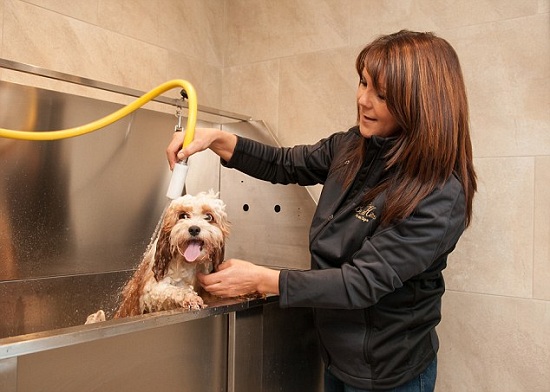 tien khach san gia re