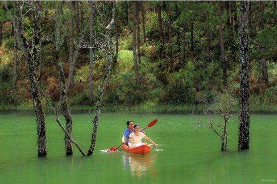 Ngao du Hồ Tuyền L&acirc;m