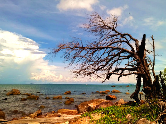 du lịch Phú Quốc