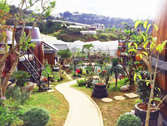 dat phong homestay da lat gia re