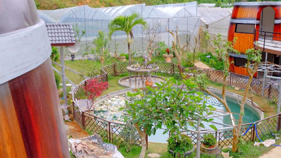 dat phong homestay da lat gia tot