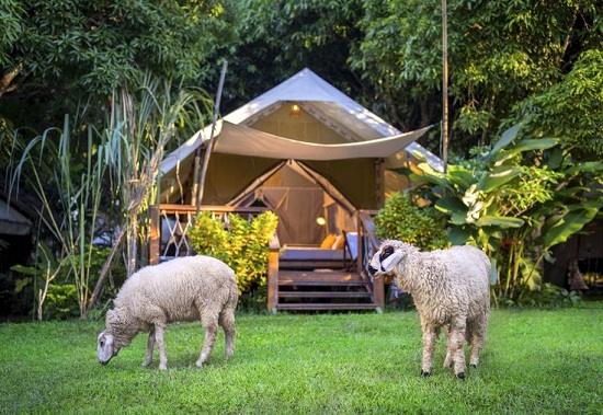 du lich gia tot di thai lan -chiang mai