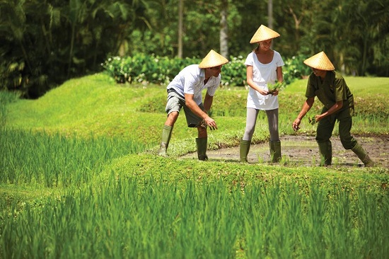 ve may bay hang cebupacific di indonesia