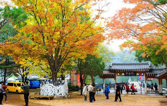Tour du lịch Hàn Quốc mùa thu: Seoul | Nami | Everland 5N4Đ