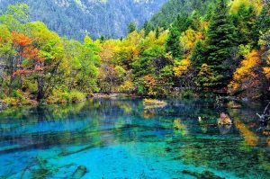 Tour du lịch Trung Quốc: Cửu Trại Câu – Hoàng Long – Nga Mi – Thành Đô 8N7Đ