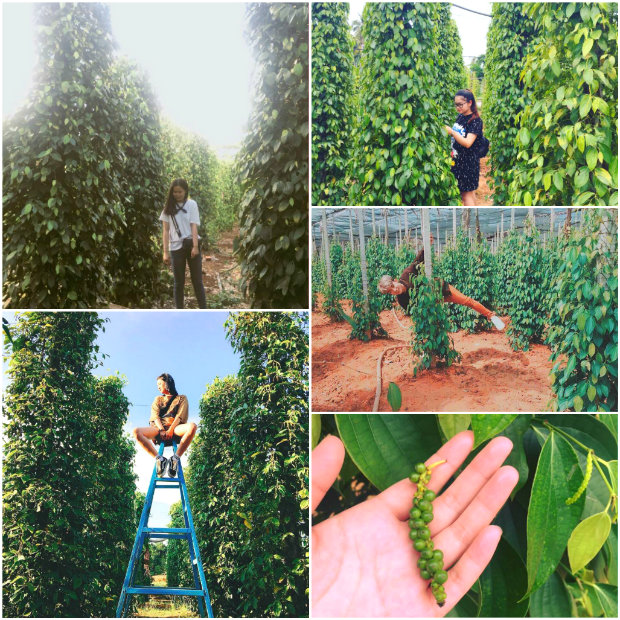 Kinh nghiệm du lịch Phú Quốc