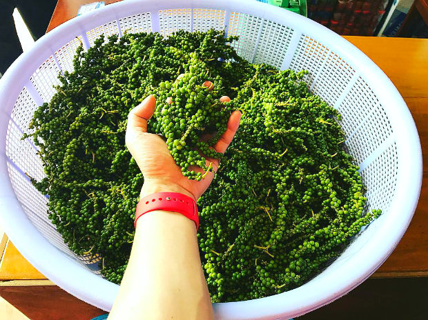 Kinh nghiệm du lịch Phú Quốc