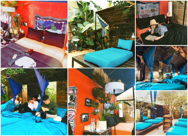 The Barn Home Farm Đà Lạt - trải nghiệm đà lạt