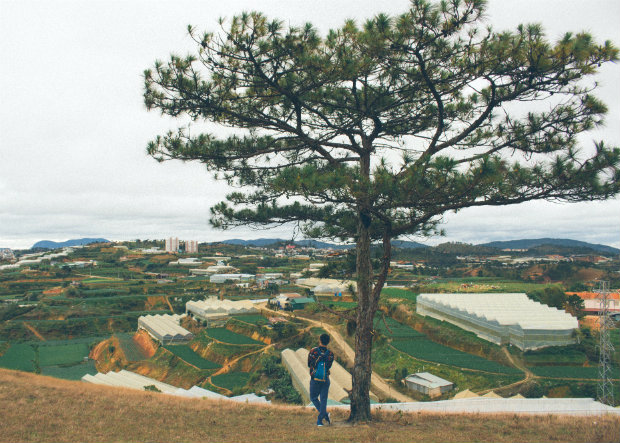 cảnh đẹp Đà Lạt - hướng dẫn du lịch đà lạt