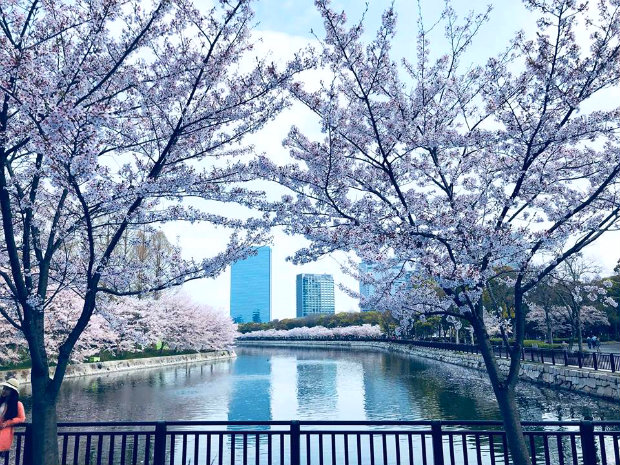 dat khach san Vietnam Booking