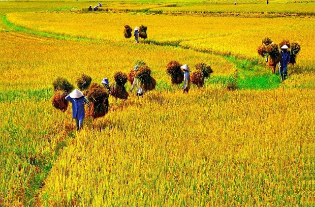Thái Bình