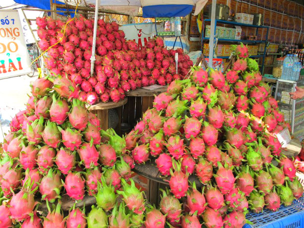 Kinh nghiệm du lịch phan thiết