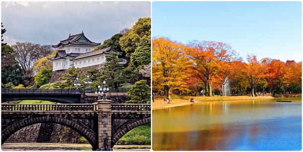 Kinh nghiệm du lịch Nhật Bản chơi gì