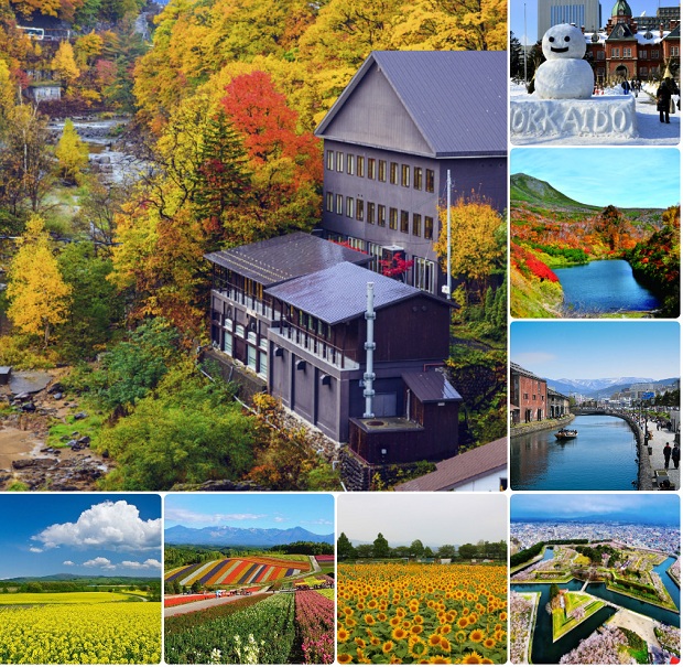 Kinh nghiệm du lịch Nhật Bản chơi gì