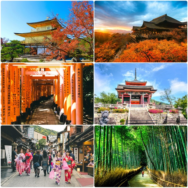 Kinh nghiệm du lịch Nhật Bản chơi gì