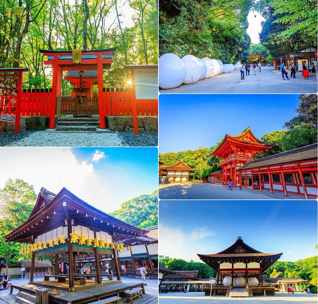 mùa hè Nhật Bản