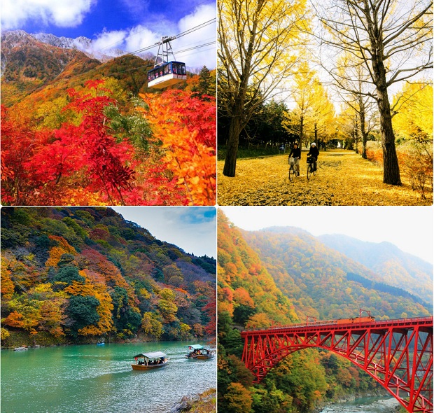 Mùa thu Nhật Bản