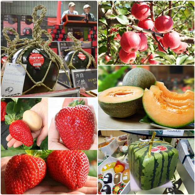 Kinh nghiệm du lịch Nhật Bản ăn gì