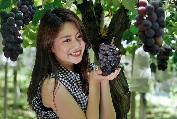 Kinh nghiệm du lịch Nhật Bản chơi gì