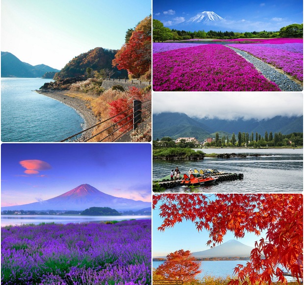 Kinh nghiệm du lịch Nhật Bản chơi gì