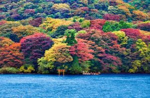 Tour du lịch Nhật Bản 4N3Đ: Tokyo | Hakone | Núi Phú Sĩ
