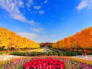 Tour du lịch Nhật Bản: Ngây ngất sắc thu Narita – Núi Phú Sĩ -Nagoya – Tokyo 5N4Đ
