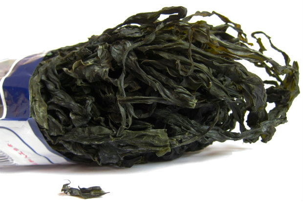 Du lịch Đà nẵng