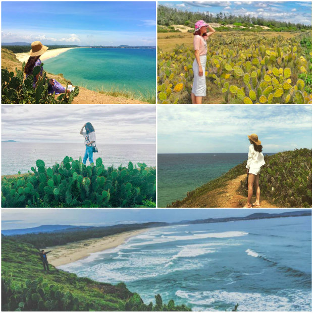 Bãi xép du lịch Phú Yên