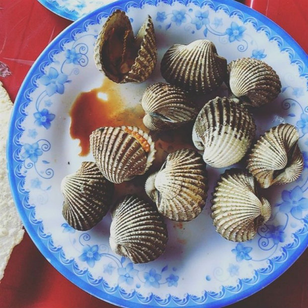 sò huyết Phú Yên du lịch Phú Yên