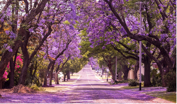 Thủ đô Pretoria Khách sạn Nam Phi