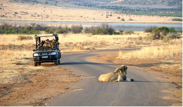 Công viên Quốc gia Pilanesberg Khách sạn Nam Phi