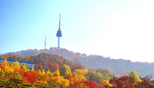 Tour du lịch Hàn Quốc mùa thu vàng: Seoul – đảo Nami – Everland – Painter Hero 5N4Đ