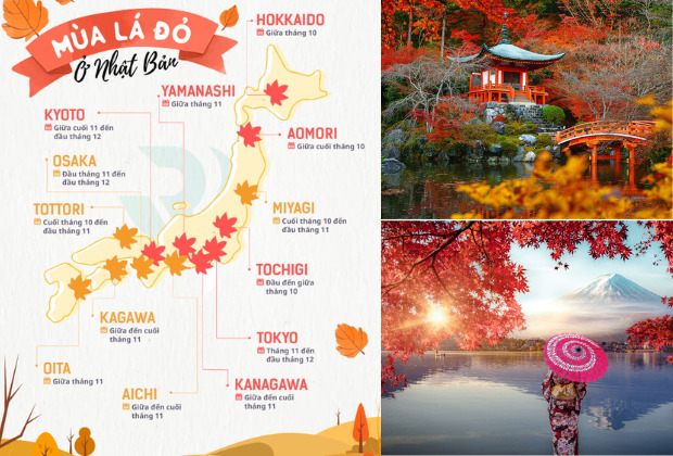 Lịch ngắm lá đỏ mùa thu Nhật Bản 