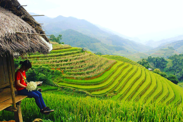 du lịch Mù Cang Chải