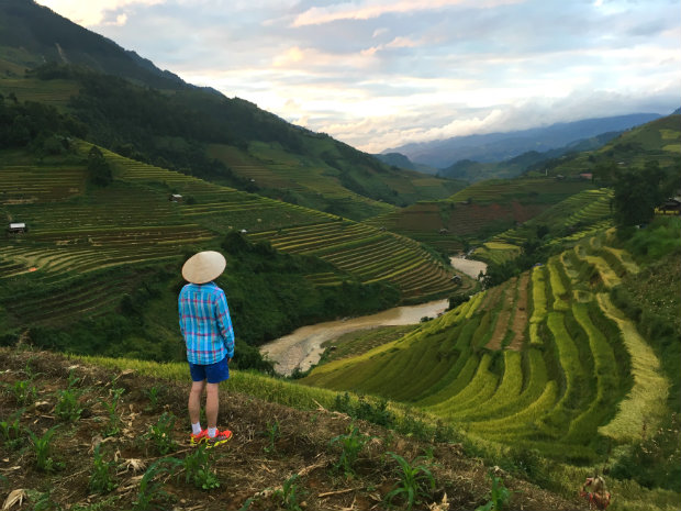 Mù cang chải mùa lúa chín