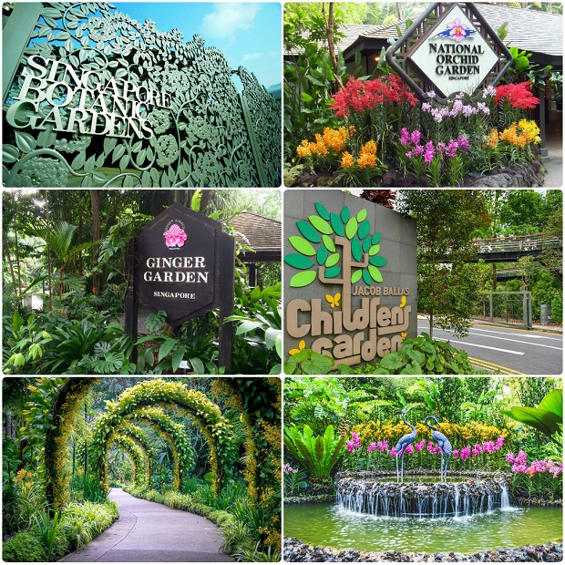 Kinh nghiệm đi du lịch Singapore chơi gì