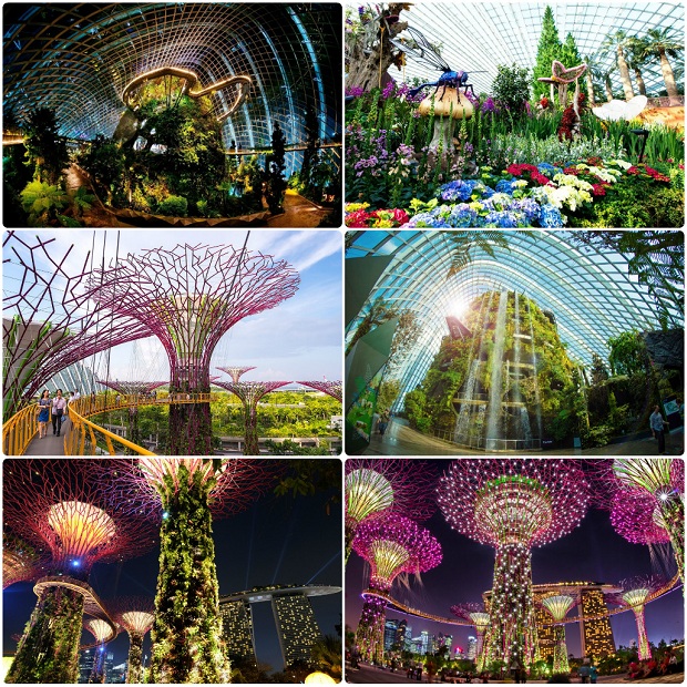 Kinh nghiệm đi du lịch Singapore chơi gì