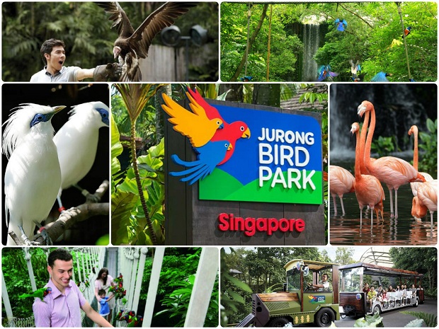 Kinh nghiệm đi du lịch Singapore chơi gì