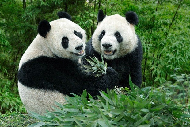 Kinh nghiệm đi du lịch Singapore chơi gì