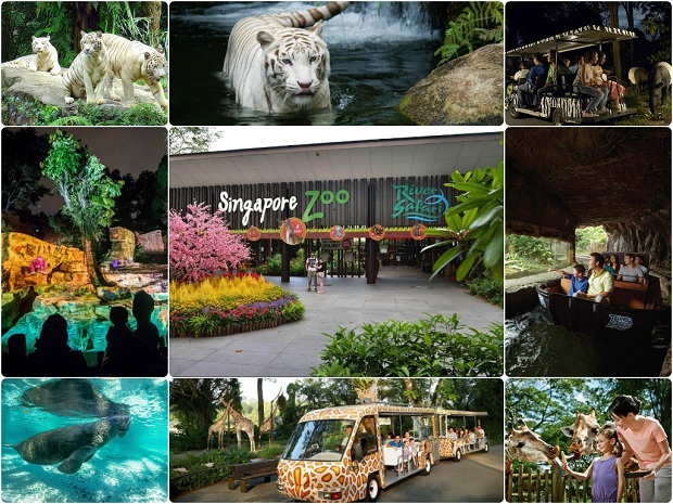 Kinh nghiệm đi du lịch Singapore chơi gì