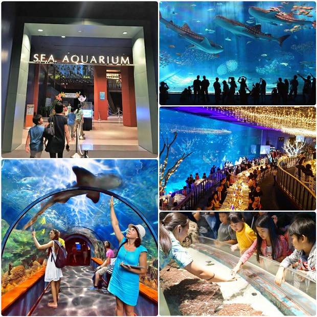 Kinh nghiệm đi du lịch Singapore chơi gì