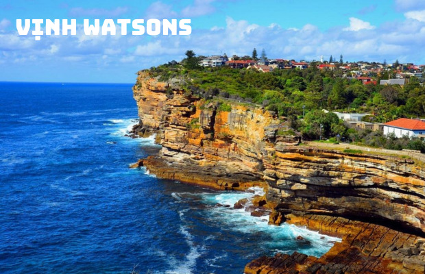 Tour Du Lịch Úc Tết 2024 | Sydney – Melbourne – Ballarat – Dandenong | 7N6Đ | Khởi hành 27, 30 & mùng 2