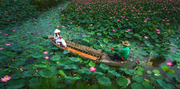 Du lịch Đồng Tháp – Bí kíp du hí vùng đất sen hồng ý nghĩa nhất