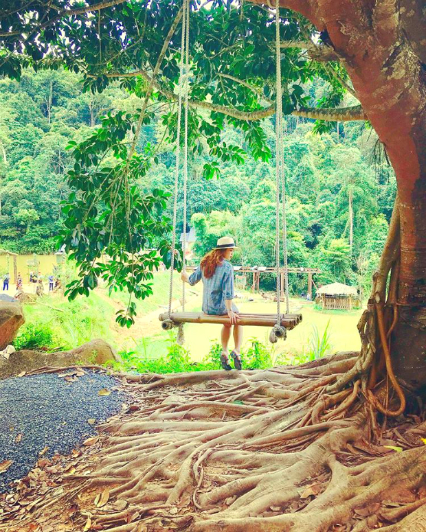 hoa sơn điền trang- địa điểm du lịch đà lạt hoa sơn điền trang Đà Lạt