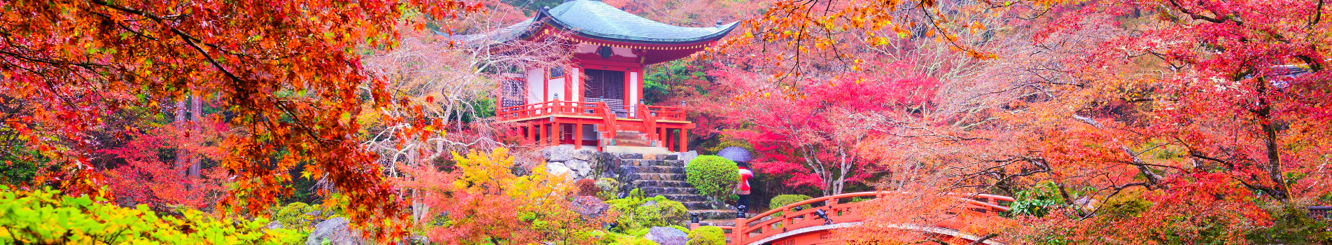 Image Banner default