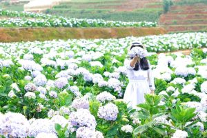 Tour Du Lịch Đà Lạt