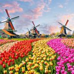 Tour du lịch Hà Lan