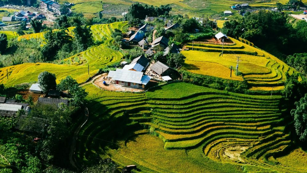 Nét đẹp yên bình của bản Tả Van