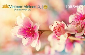 Vietnam Airlines triển khai vận chuyển mai đào Tết Nhâm Dần 2022